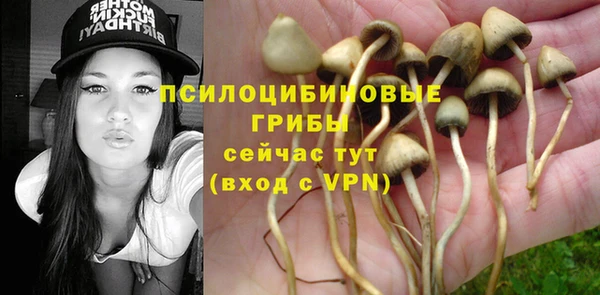 стафф Алексеевка