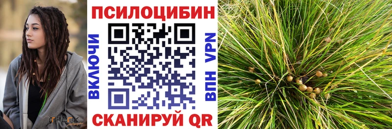 где можно купить наркотик  mega сайт  Псилоцибиновые грибы Cubensis  Баймак 